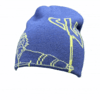 Poseidon Beanie – Embroidered City Unlocked Beanie